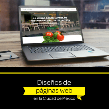 Diseños de páginas Web profesionales del DF o ciudad de México (CDMX)