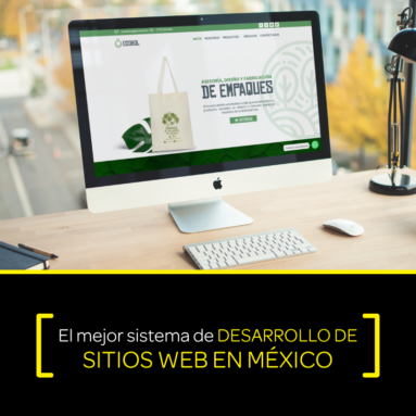 El mejor sistema de desarrollo de sitios web en México.